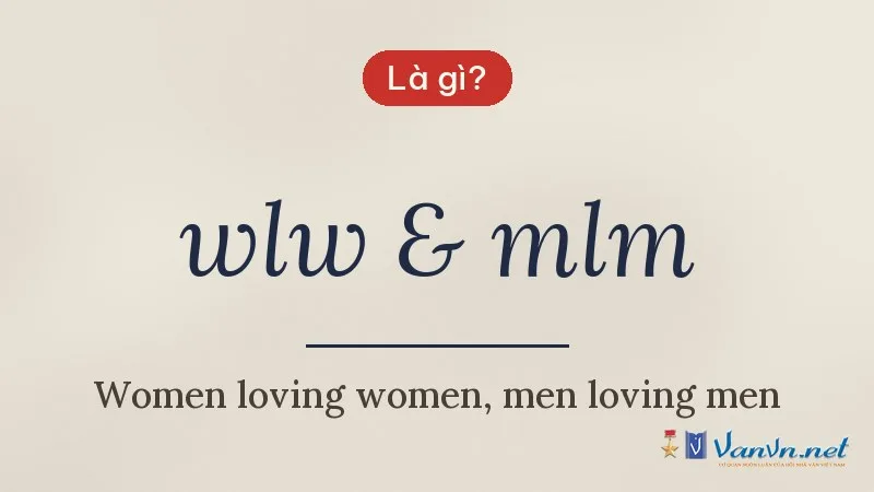 wlw & mlm là gì