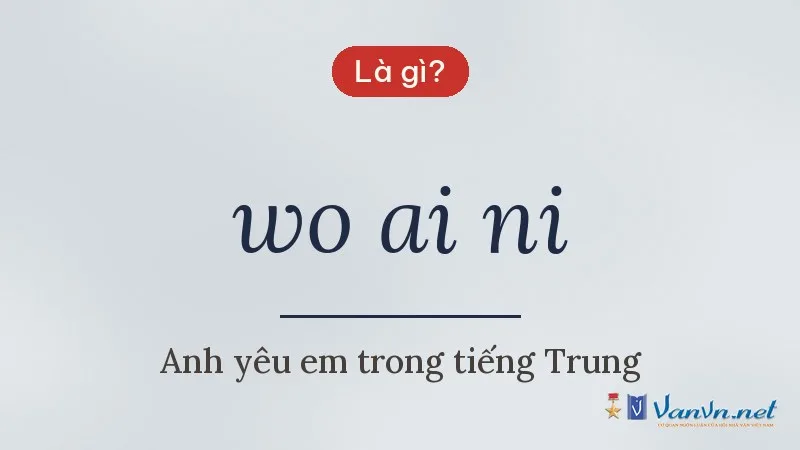 wo ai ni là gì