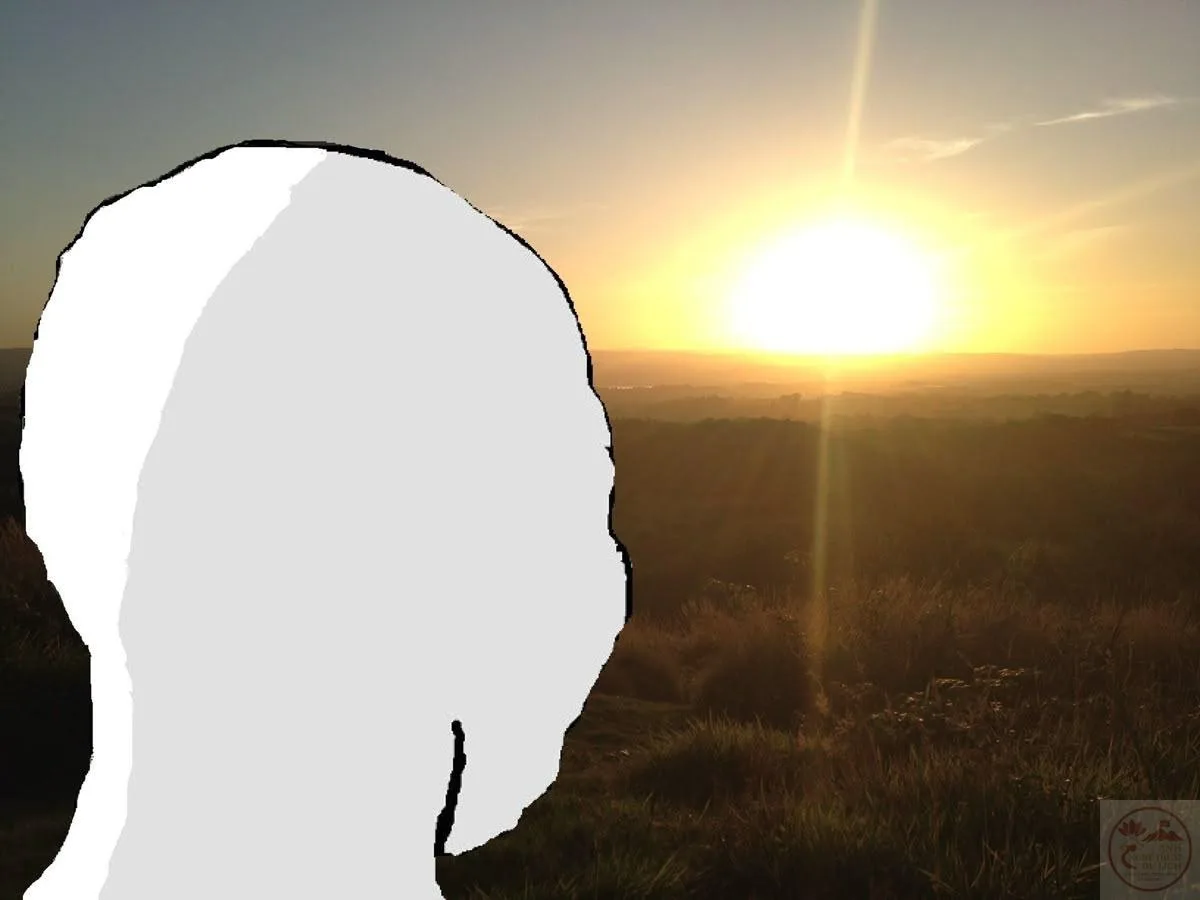 wojak meme cô đơn