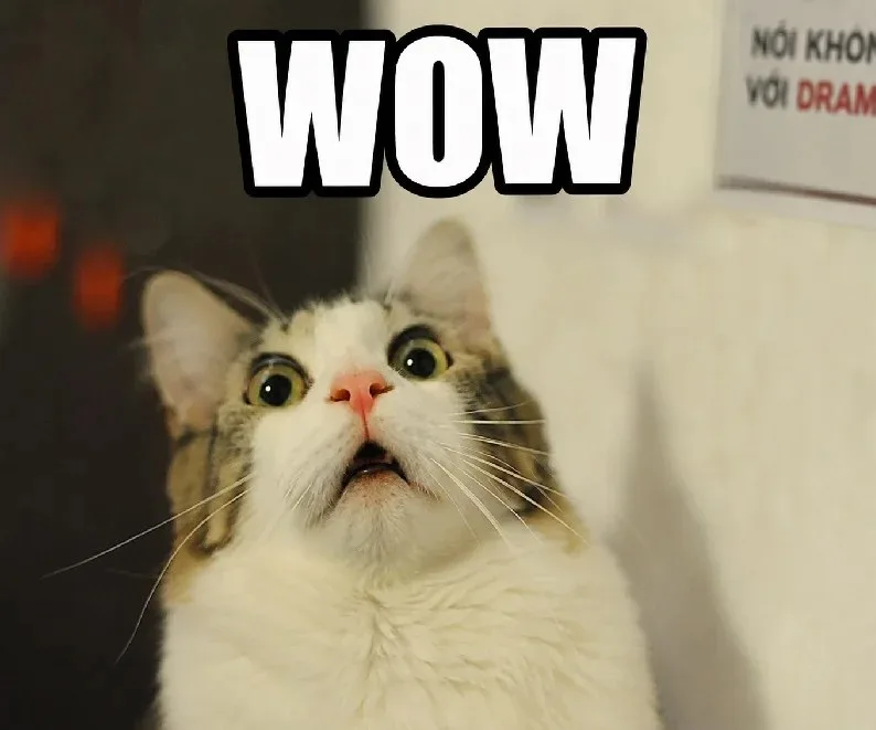 meme wow cute