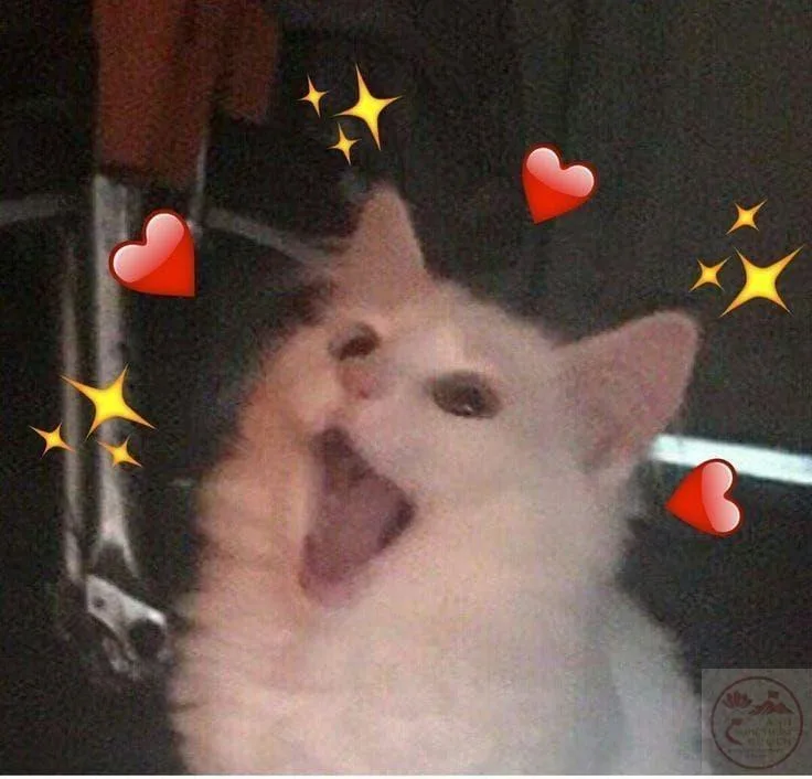 meme wow cute