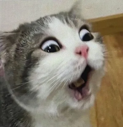 meme wow cute