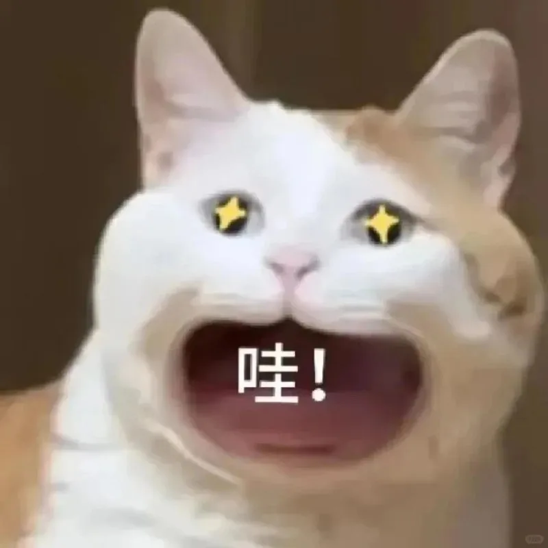 meme wow cute