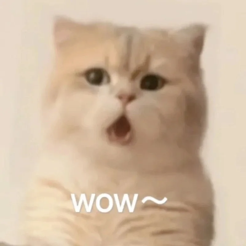 meme wow cute