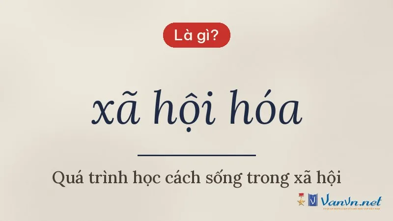 xã hội hóa là gì
