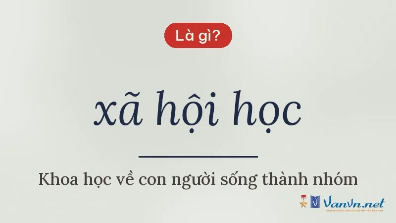 xã hội học là gì