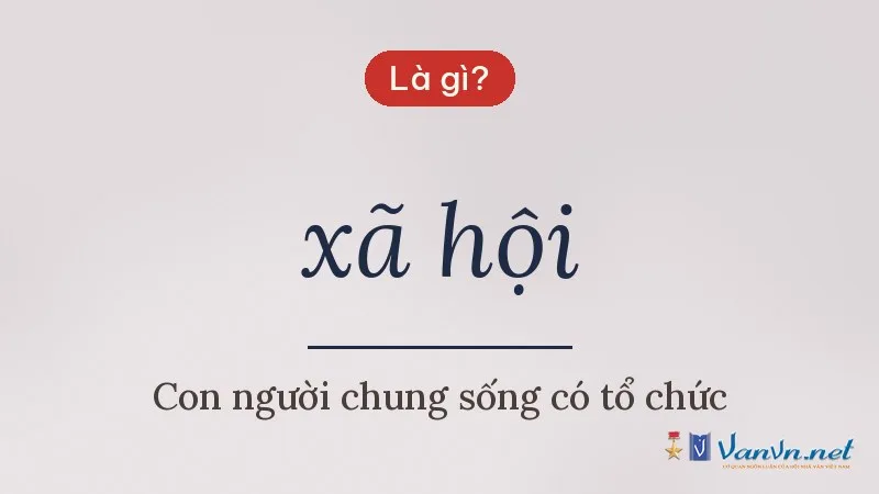 xã hội là gì