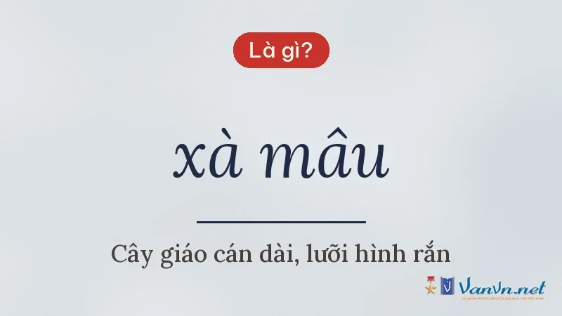 xà mâu là gì