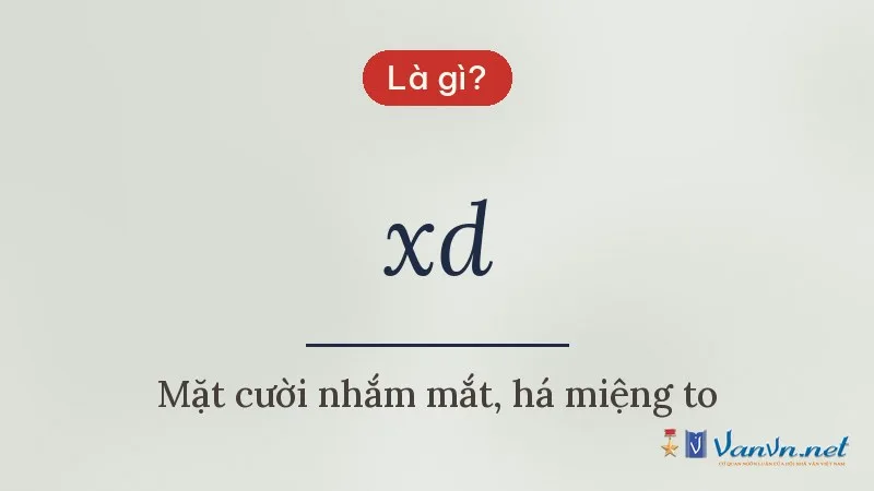 xd là gì