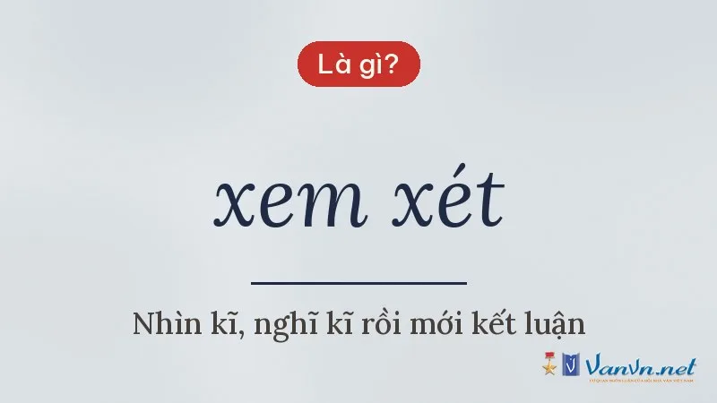 xem xét là gì
