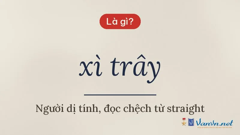 xì trây là gì