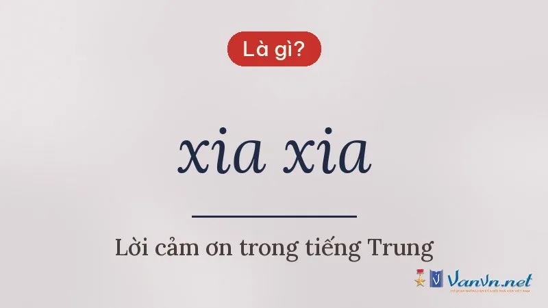xia xia là gì