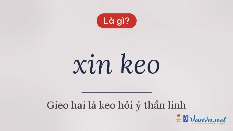 xin keo là gì