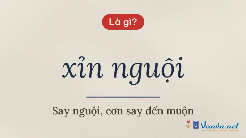 xỉn nguội là gì