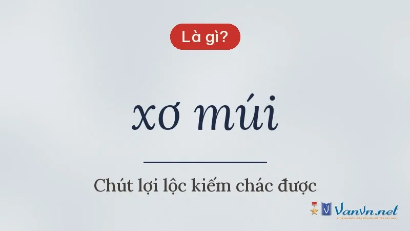 xơ múi là gì