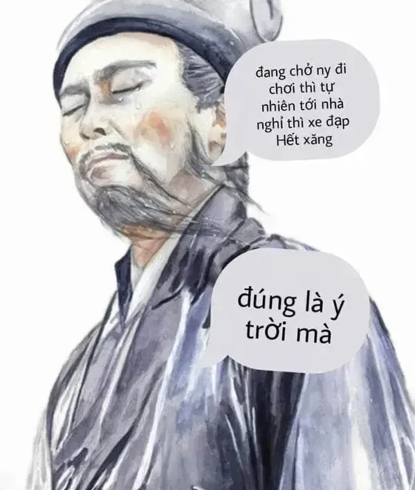 hình ảnh meme ý trời