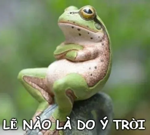 hình ảnh meme ý trời