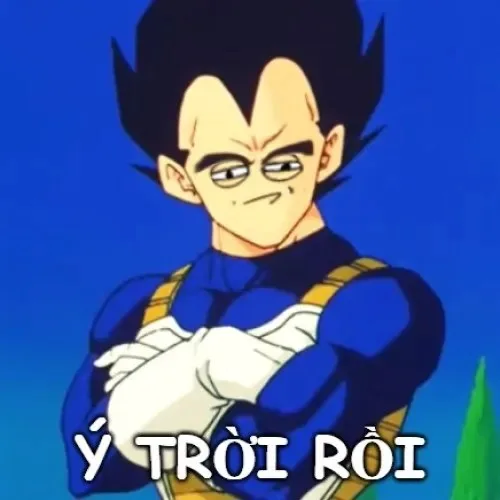 hình ảnh meme ý trời