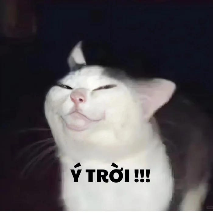 ý trời chế