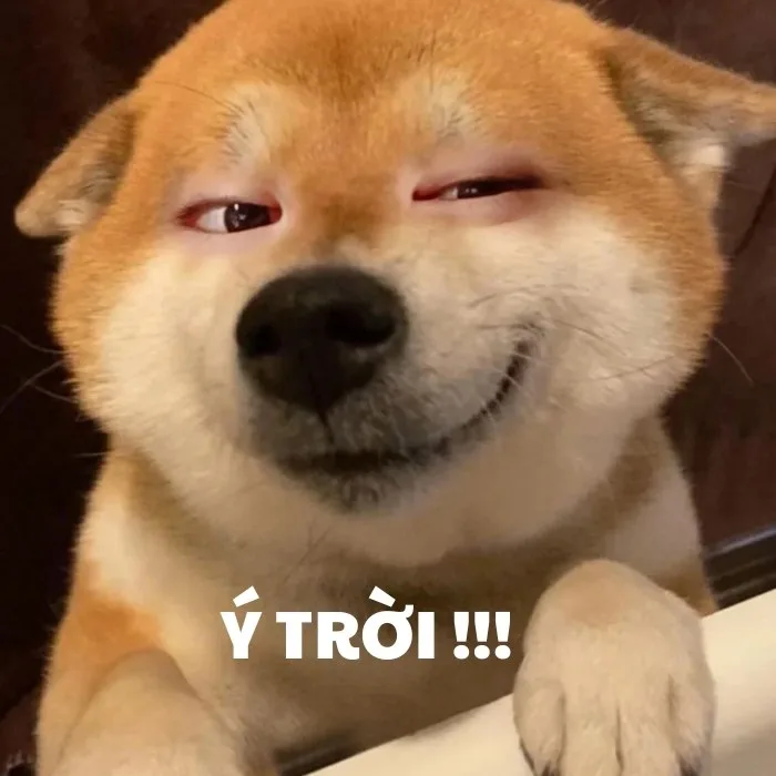 ý trời chế