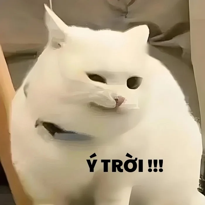 ý trời chế