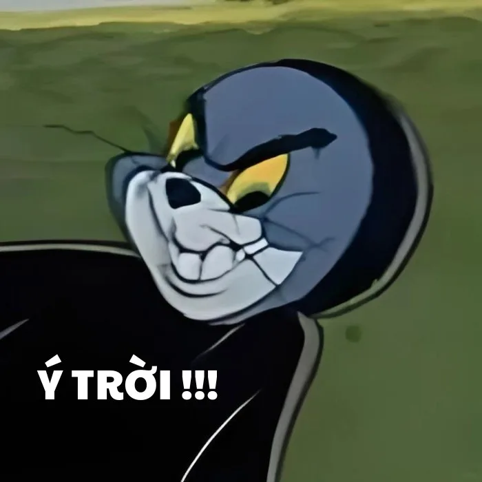 ý trời chế