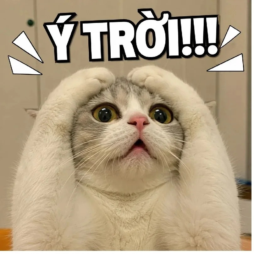 ý trời chế