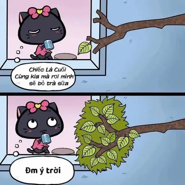 meme đúng là ý trời
