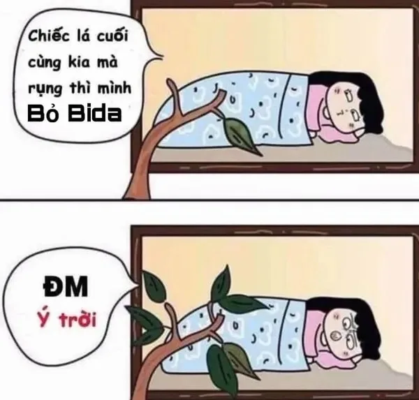 meme đúng là ý trời