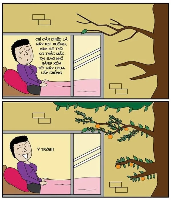 meme đúng là ý trời