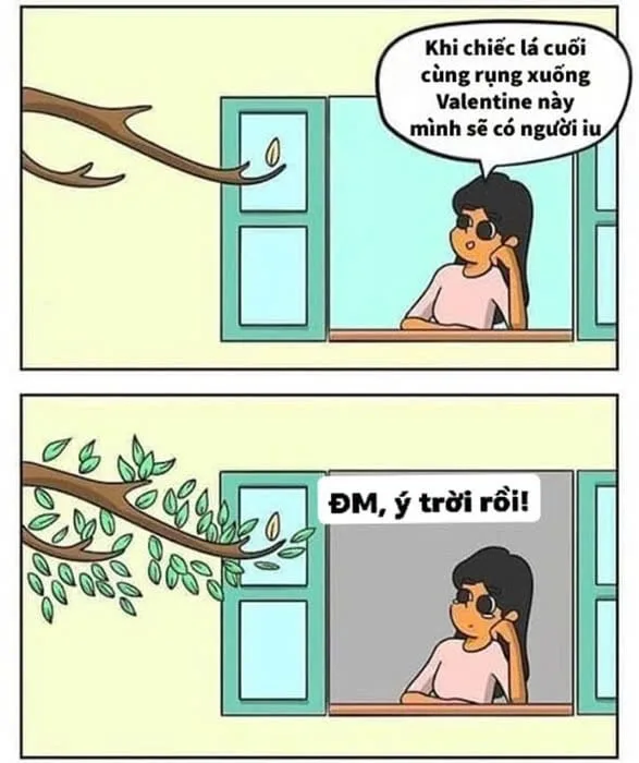 meme đúng là ý trời
