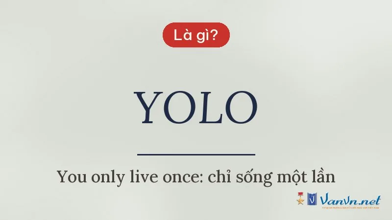 YOLO là gì